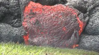 Close up view of Puna Lava Flow - 11.1.14