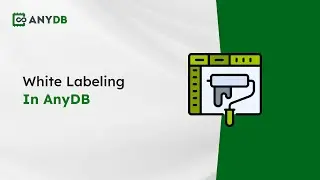 How White Labeling Works in AnyDB