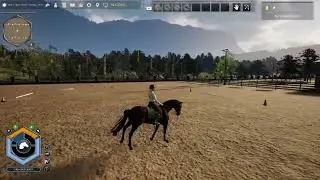 Unbridled That Horse Game - my creative way to build a dressage arena at the homestable