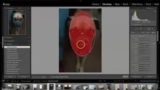 Radial Filter in Lightroom