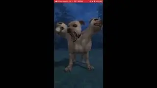 Fluffy, the three headed dog Oddity