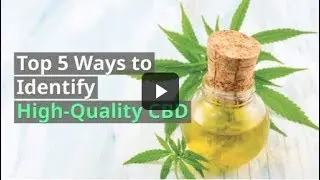 Top 5 Ways to Identify High Quality CBD