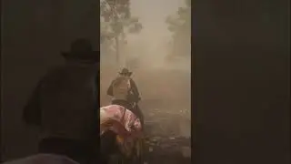 Horse Jumping Fail LOL! Red Dead Online