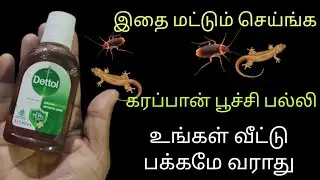 No more cockroaches and lizards in the house | cockroach killer | kitchen tips
