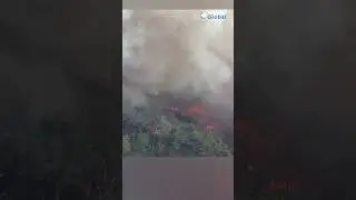 Rescue forces fight wildfire in northern #Japan | #Nanyo #forestfire #shorts