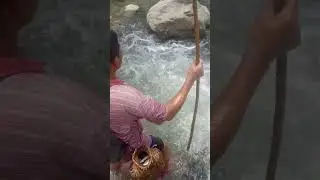 asala fish hernu Hai guys haru lamjung  kisedi  khola ko
