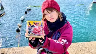 【検証】いかの塩辛で本当に魚は釣れるのか？
