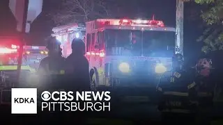 Several cats missing after Beaver County house fire