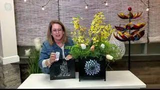 Plow & Hearth Interchangeable Color Changing Metal Planter with Remote on QVC