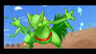 PET WAR GAMEPLAY