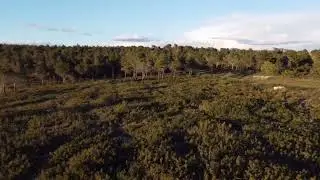 cinematic drone - hill (part 3)
