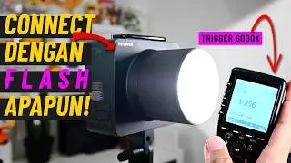 Flash 600Ws Paling Recomended!! Neewer Q6