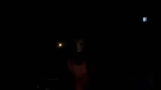 vampire hawk (free style )