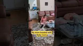 My mom had bonding time with Baby Corn. #babycorncat #kitten #mom