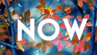 Becky Lawrence - Now (Lyric Video)