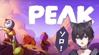 【PEAK】はじめての山登り！そしてソロ！頂の景色を見たい！