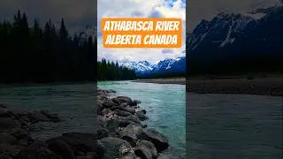 Athabasca River Beauty | Flowing Through the Canadian Rockies 🌊🇨🇦 #river #flow #travel #explore #yt