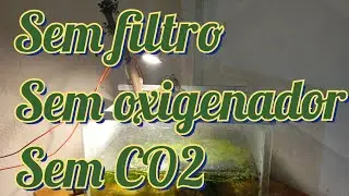 Natural Zero tecnologia 😁👍🏽