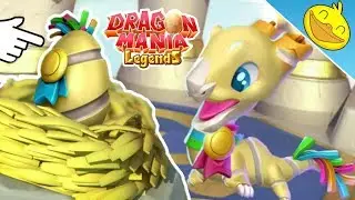 QUARTERN DRAGON Hatching + Flying Solo Event Level 5! - DML #1061