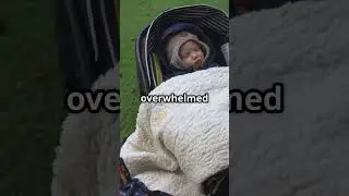 Miracle of Baby Dragged 15ft in Horror Liverpool Parade                 2025 05 28