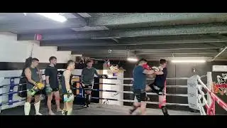 Shark Tank Muay Thai Christchurch