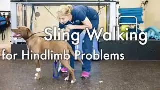 Sling Walking