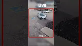Woman Attacked By a Stalking Goose | WHEN ANIMALS ATTACK