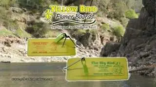 Planer Board Instructional, Yellow Bird