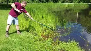 The Yard Blade&reg; makes quick work of cutting cattails