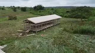 Farming in Nigeria | TundeLaniran Farms Estate |