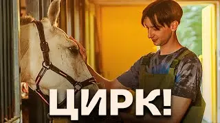 Цирк: серии 1-9 - Комедия от СТС - Премьера