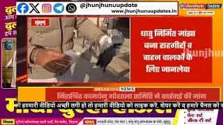 Makar Sankranti 2025 | Dangerous game of Chinese Manjha in Mandawa | Illegal Chinese Manjha Sale