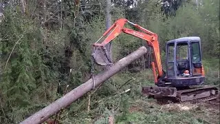 Small Scale Logging