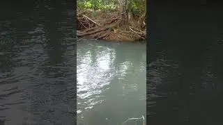 melengkung tajam ityp 789 jos jis