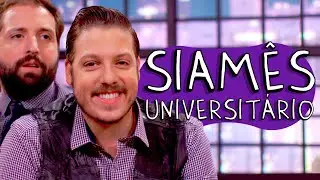SIAMÊS UNIVERSITÁRIO