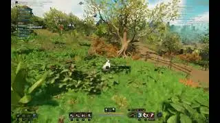 frozen in leaping strike