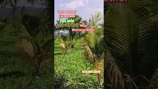 Beautifull Low Budget Farm Land For Sale Near Melmaruvathur NH Free Eb Well 👉 8428992889