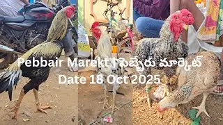Pebbair Market | పెబ్బేరు మార్కెట్ 18/10/2025