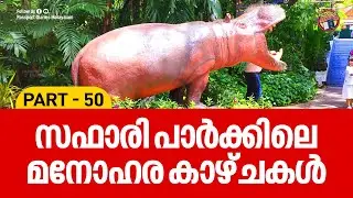 സഫാരി പാർക്കിലെ മനോഹര കാഴ്ചകൾ | SAFARI WORLD BANGKOK | THAILAND VLOG | PART 50 | PASSPORT DIARIES