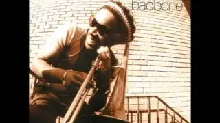 Dennis Rollins' Badbone & Co - Wild & Free