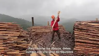 Reglas de Operaci&oacute;n 2022