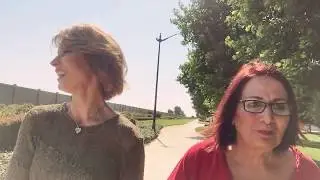Pets on Pavement