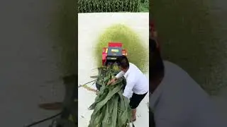 Small Chaff Cutter Agriculture Straw Grass Chopping Machine Cattle Goat Pig Feed Forage Chopper