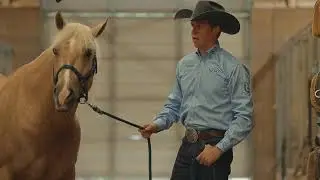 Bud Lyon: Leg Protection