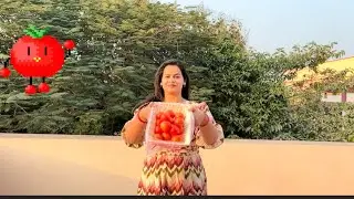 Tomatoes filled lunch