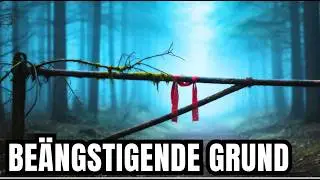 Die Verbotene Route im Schwarzwald, Wo Niemand Lebend Zurückkam