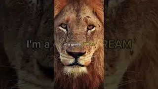 BEWARE my FLOOD 😈🔥 MOTIVATIONAL VIDEO 🦁🔥 attitude status #quotes #sigmarule #attitude #shorts #lion
