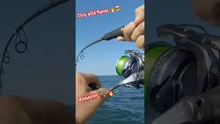Tiro alla fune!! 🔥😎🚀 #angler #tunaspinning