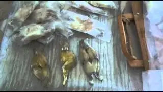 Франция.Деликатесы Ч-1.Легушачьи лапки и не только