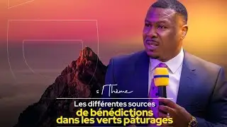 Les  diff&eacute;rentes sources de b&eacute;n&eacute;diction dans les verts p&acirc;turages: Pasteur D&eacute;sire OKOUBO